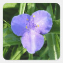 Search for spring wildflower stickers Nature