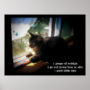 Search for stray art Pets