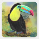Search for toucan bird stickers Beautiful