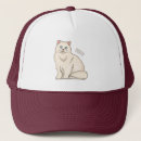 Search for persian hats Cat