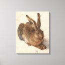 Search for albrecht Young hare
