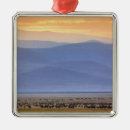 Search for tanzania christmas tree decorations Wildlife