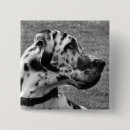 Search for dane badges Pet