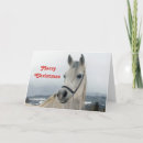 Search for pretty horse cards White