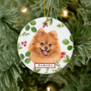 Search for holiday pet memorial christmas tree decorations Dogs