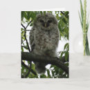 Search for luv cards Animal