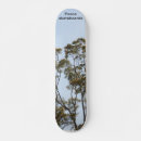 Search for learning skateboards Cool