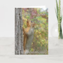 Search for this way up postcards Promotion