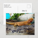 Search for lizard lover postcards Reptile