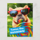 Search for big dogs invitations Humour