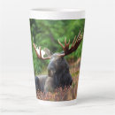 Search for moose mugs Wildlife