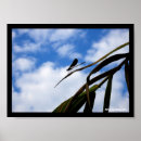 Search for damselfly art posters Wings