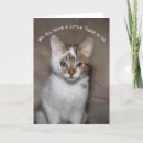 Search for kitty greeting Fun