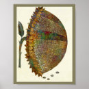 Search for italian posters Home