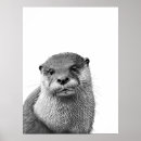 Search for otters posters Portrait