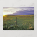 Search for northeastern postcards Nobody