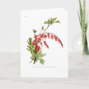 Search for dicentra Floral