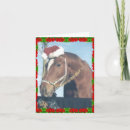 Search for warmblood Pony