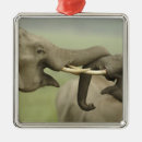Search for indian elephant christmas tree decorations Wildlife