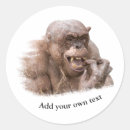Search for primate stickers Chimpanzee