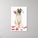 Search for admiration canvas prints Dog