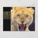 Search for lioness postcards Animal