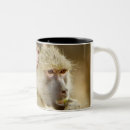 Search for baboon mugs Outdoors