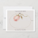 Search for renaissance postcards Illustration