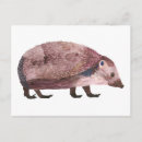 Search for carte postcards Illustration