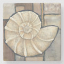 Search for snail barware Seashell