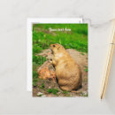 Search for we miss you postcards Cute