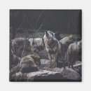 Search for pack magnets Wildlife