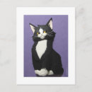Search for tuxedo postcards Kitten