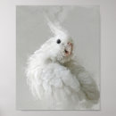 Search for cockatiel art Cute