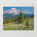 Search for avalanche postcards Blue