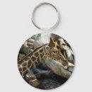 Search for giraffe rounded key rings Wild