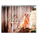 Search for puppy calendars Retriever