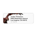 Search for movie return address labels Wizarding wold