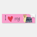 Search for yorkies bumper stickers Cute