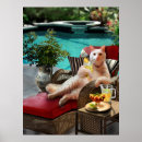 Search for swimming pools posters Vacation