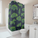 Search for airplane shower curtains Aeroplane