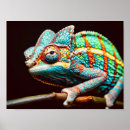 Search for panther chameleon posters Lizard