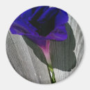 Search for pretty magnets Lavender