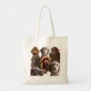 Search for poodle photography Animal