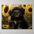 Search for chocolate lovers posters Dog