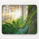 Search for tree trunk mousepads Woods