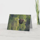Search for pacific northwest cards Wildlife