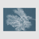 Search for graphic tissue paper Flowers