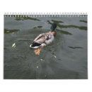 Search for duck calendars Wild