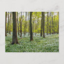 Search for beech cards Landscape